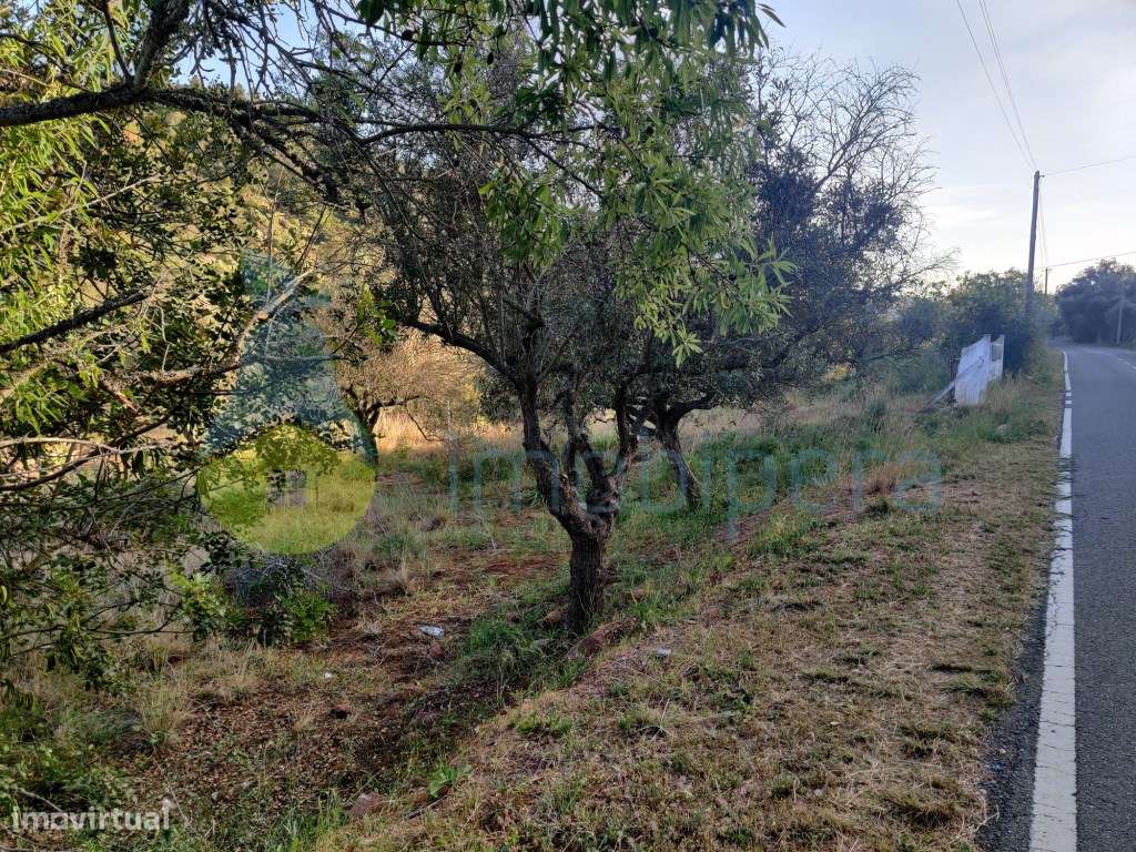 Terreno rústico com 18.360 m2, situado na zona da Aldeia Vale Fuzei... - Grande imagem: 4/4