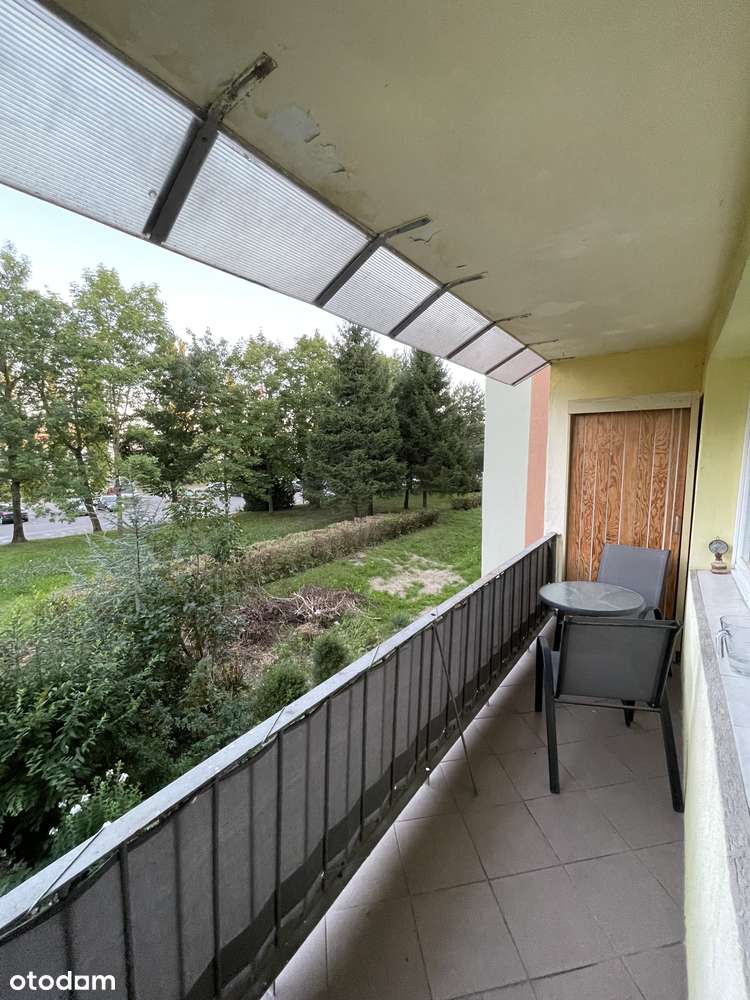 3 pokoje, I piętro, loggia, Przylesie, niski czynsz, duży parking - Pełny obrazek: 4/10