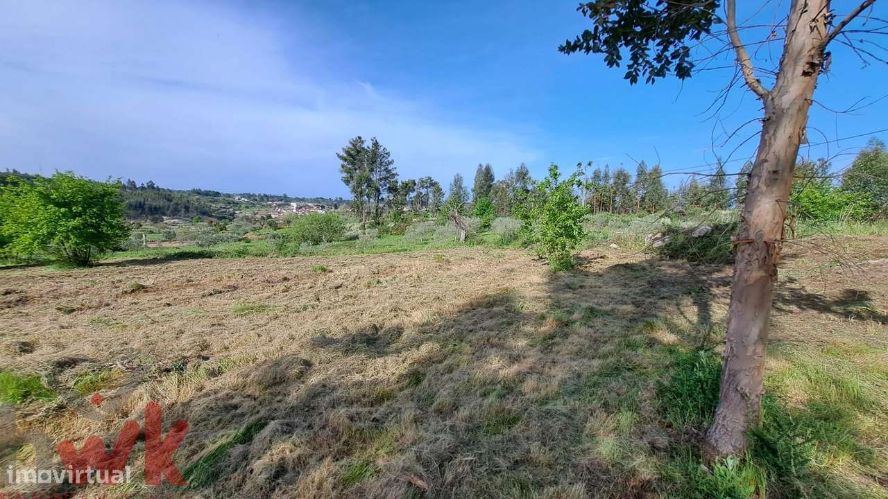 QUINTA cerca 1.5Ha, com CASA PEDRA 100m2, registada como habitação-15