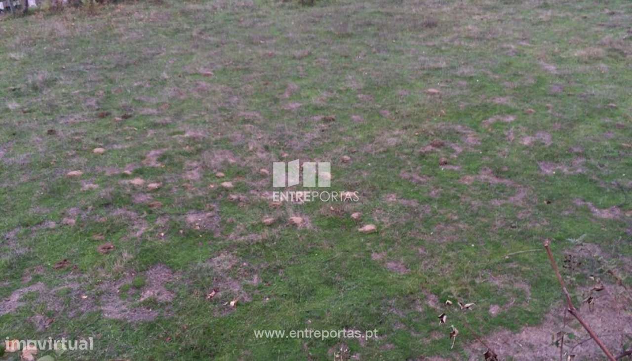 Venda Terreno, Cinfães - Grande imagem: 2/24