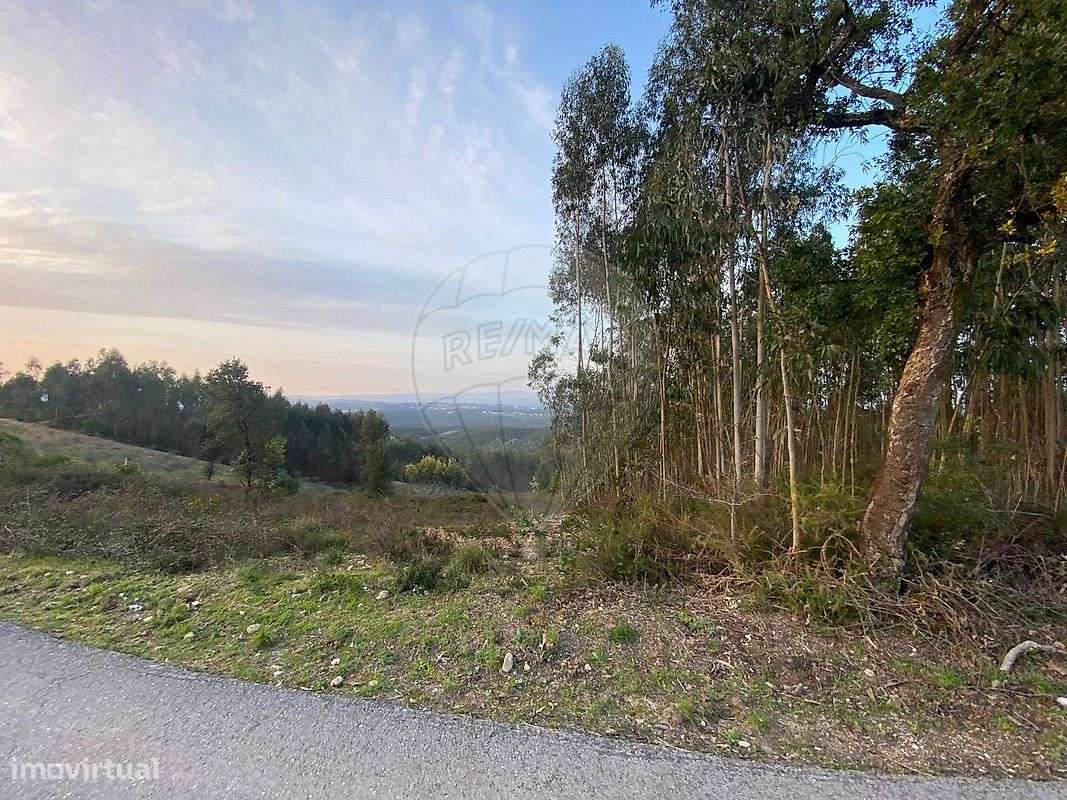 Terreno  para venda-4