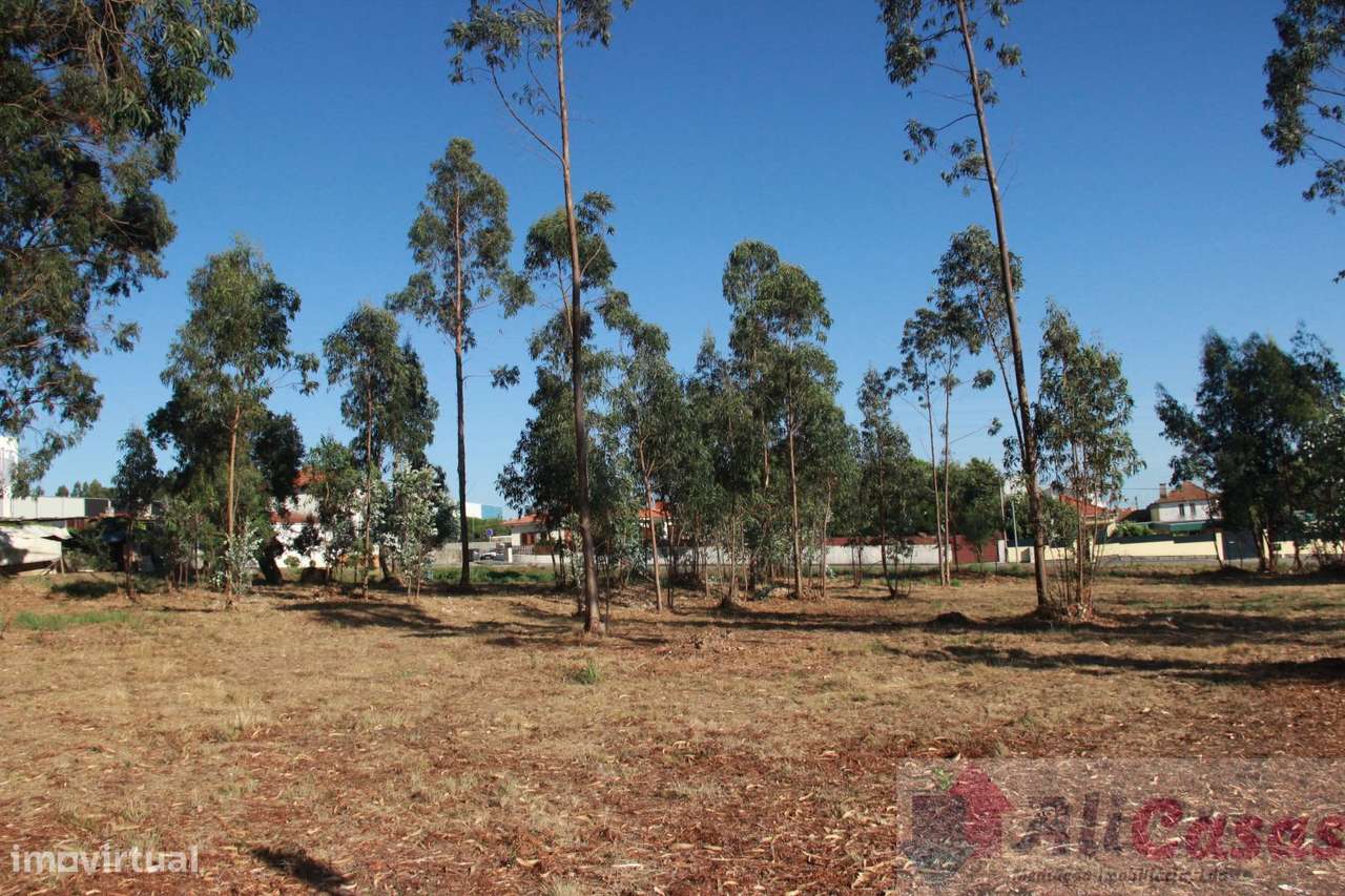 Excelente Terreno P/Construção em Altura-16