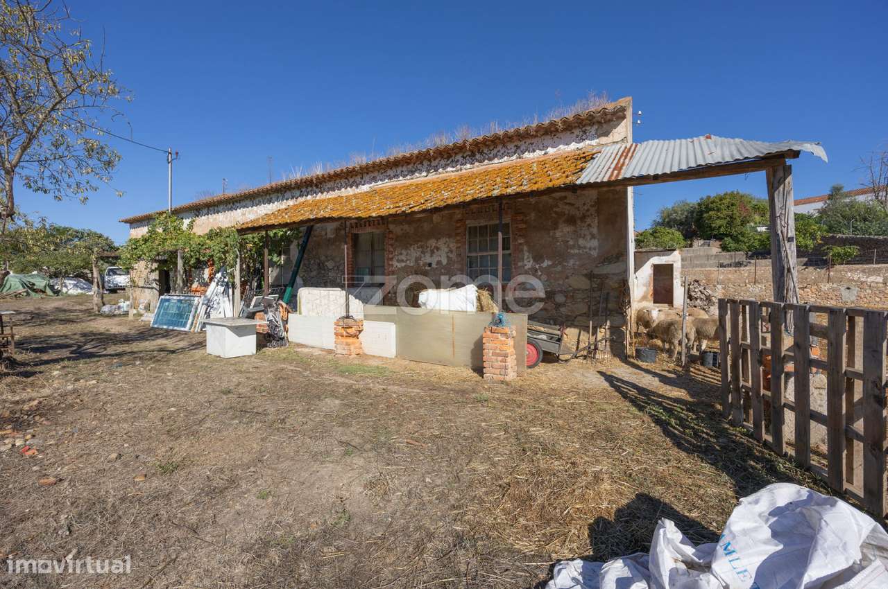 Lagar || Montalvo, Constância-12