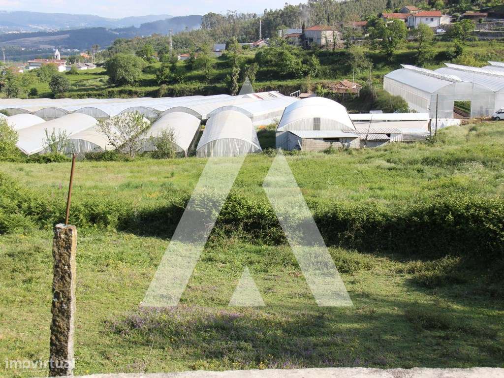 Quinta T6 histórica para recuperação, Guimarães.-27