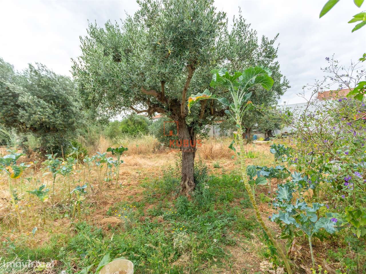 Lote de Terreno  Venda em São João Baptista,Entroncamento - Grande imagem: 4/16