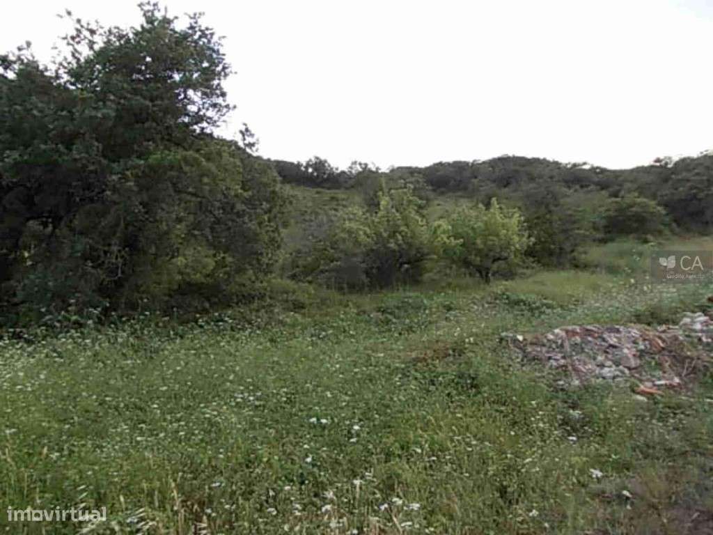 Terreno Rústico - Grande imagem: 5/5