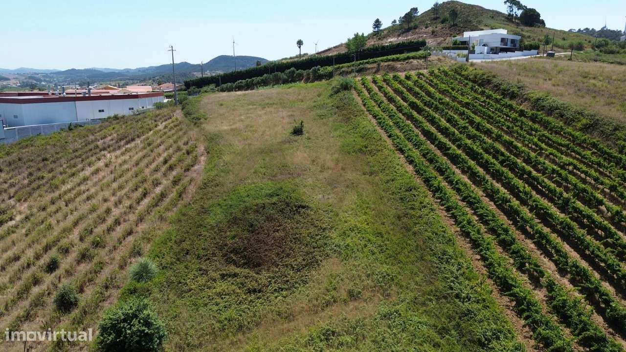 Terreno Rústico com Potencial Industrial – Freiria, Torres Vedras - Grande imagem: 5/18