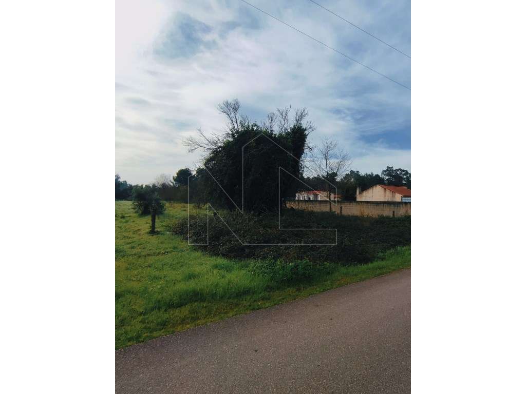 Terreno para Construção - Oliveira do Bairro - Grande imagem: 1/4