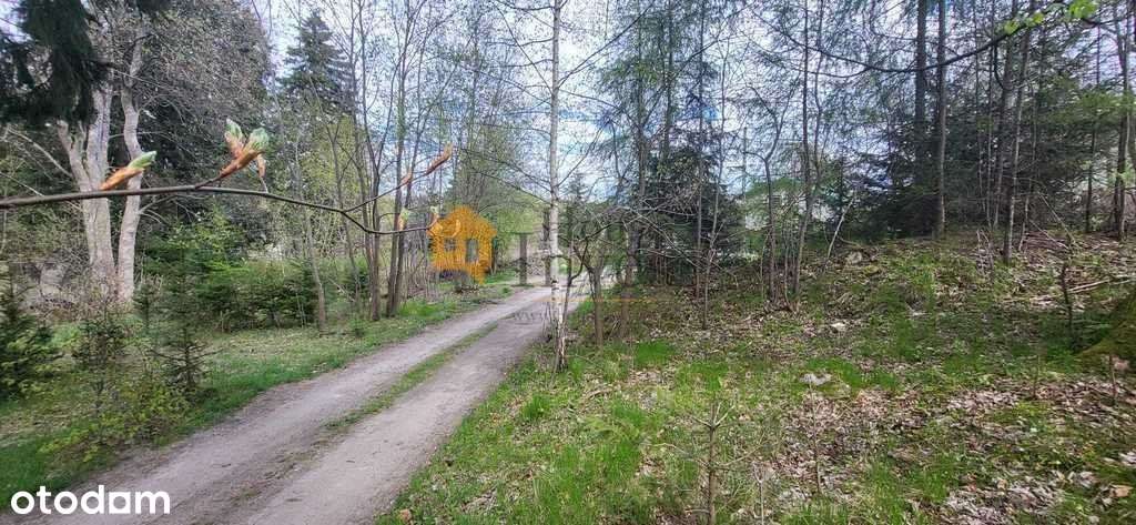 Super Okazja!!! działka w Szklarskiej Porębie - Pełny obrazek: 5/9