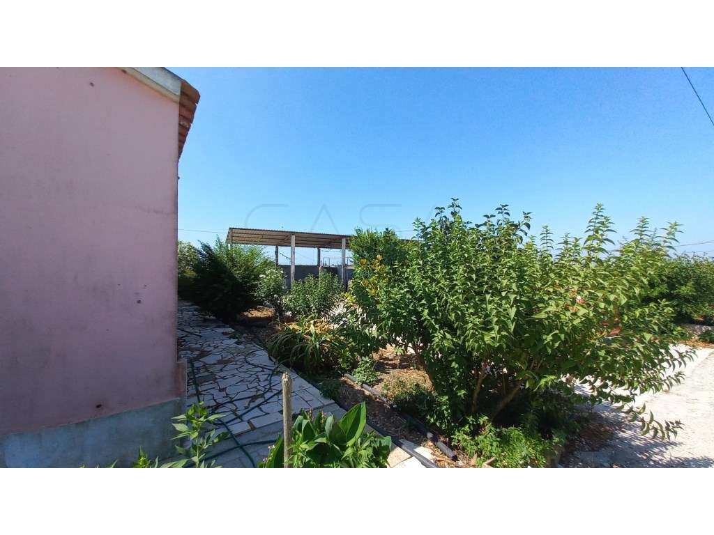 Herdade vinhateira próxima de Setúbal-27