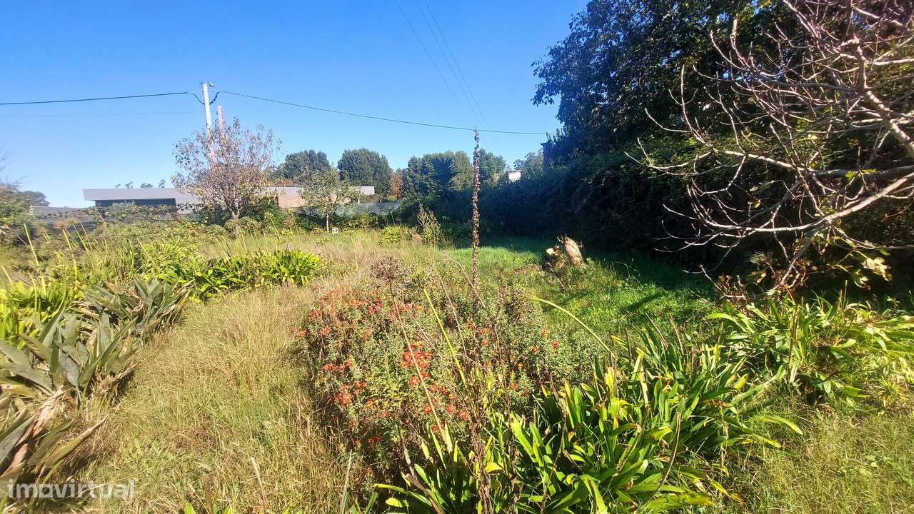 Quintinha Maia - Grande imagem: 5/23