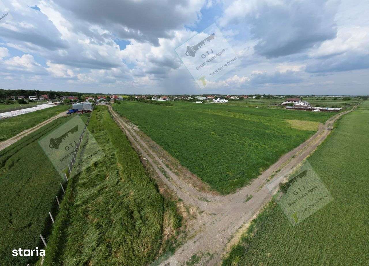 Teren extravilan Vanatori Acces Str Principala - Imagine principală: 4/9