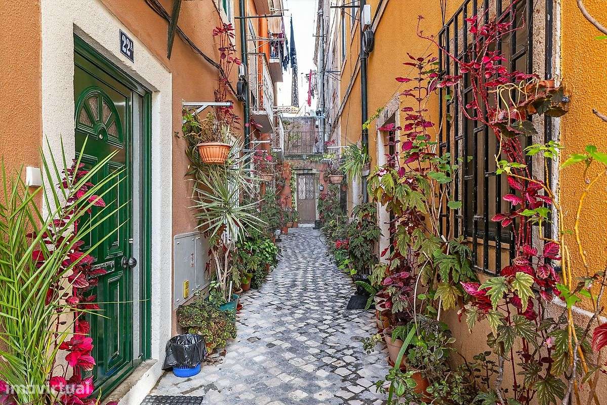 Apartamento T0 para venda - Grande imagem: 2/28