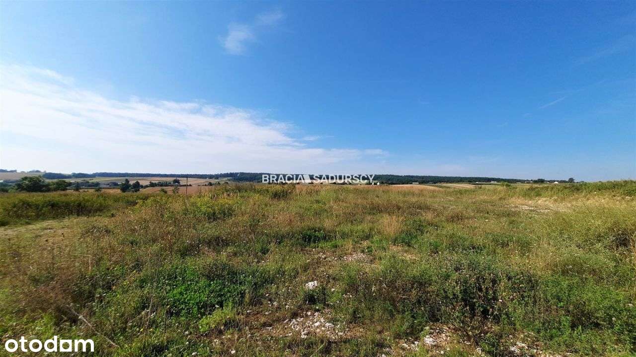 Działka usługowa przy drodze wojewódzkiej nr 794