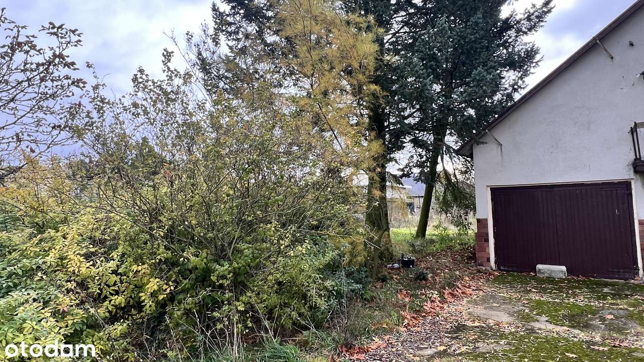 Działka narożnikowa z potencjałem w pobliżu lasu-17