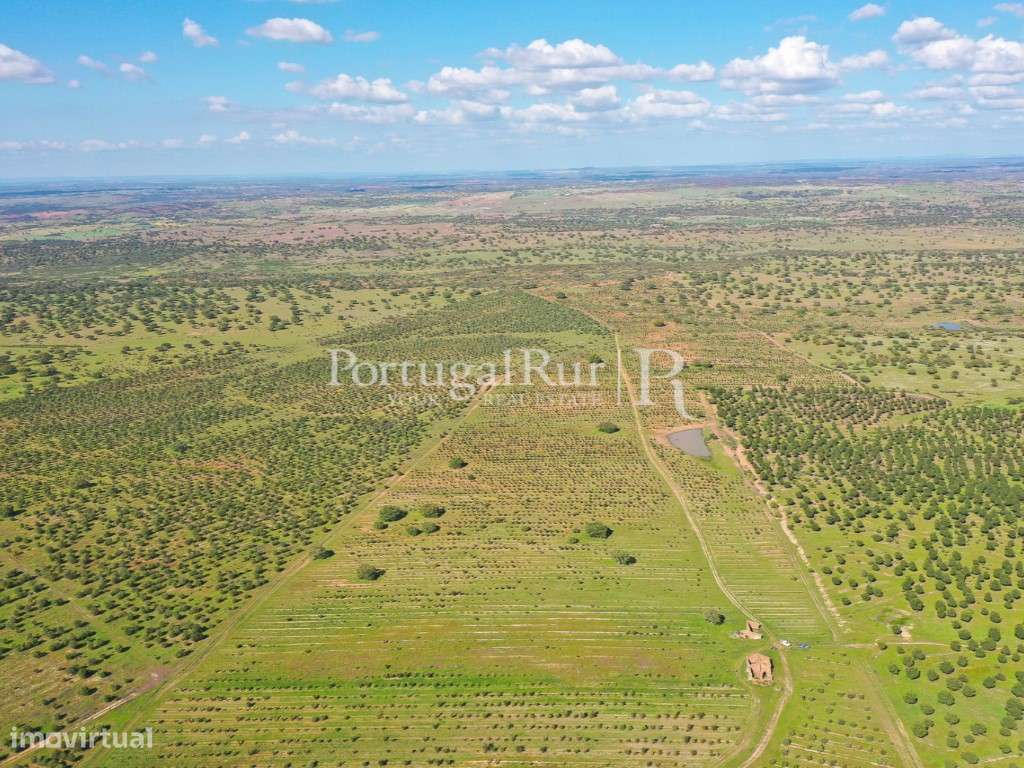 Herdades de Caça com 1300 Hectares, junto do rio Guadiana-27