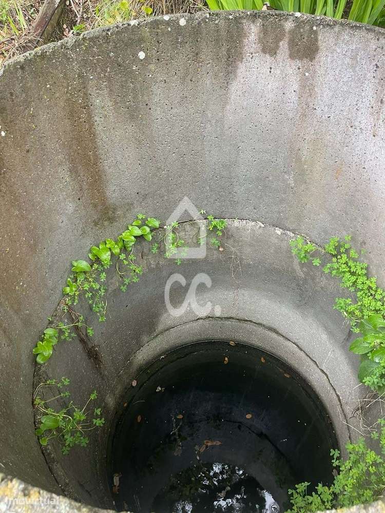 Terreno com poço legalizado e várias árvores de fruto-11