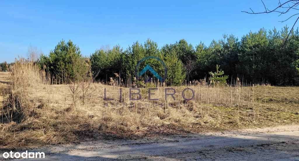Duża działka budowlano rolna nieopodal Narwi - Pełny obrazek: 4/4