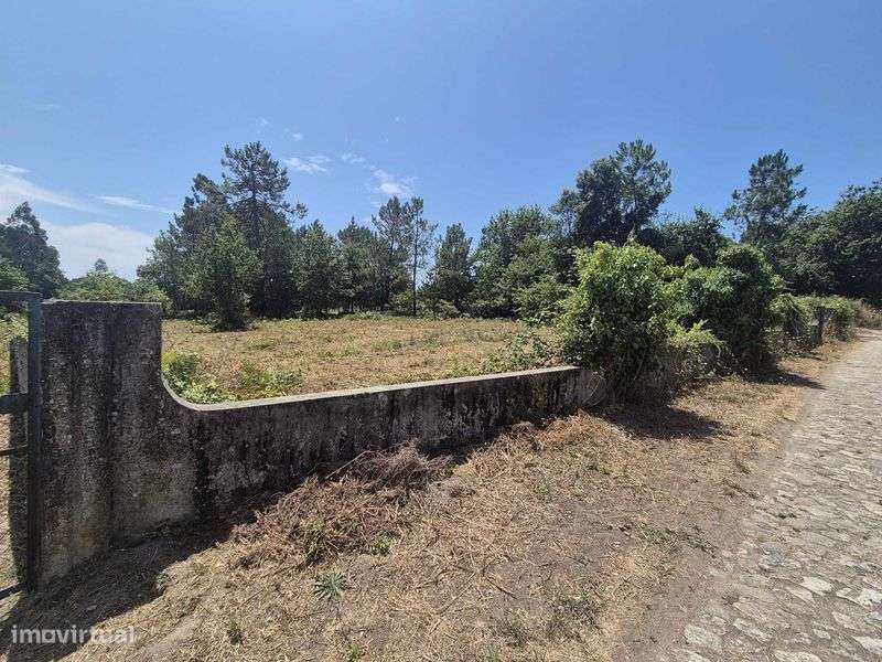 Vendo    Terreno - Grande imagem: 2/9