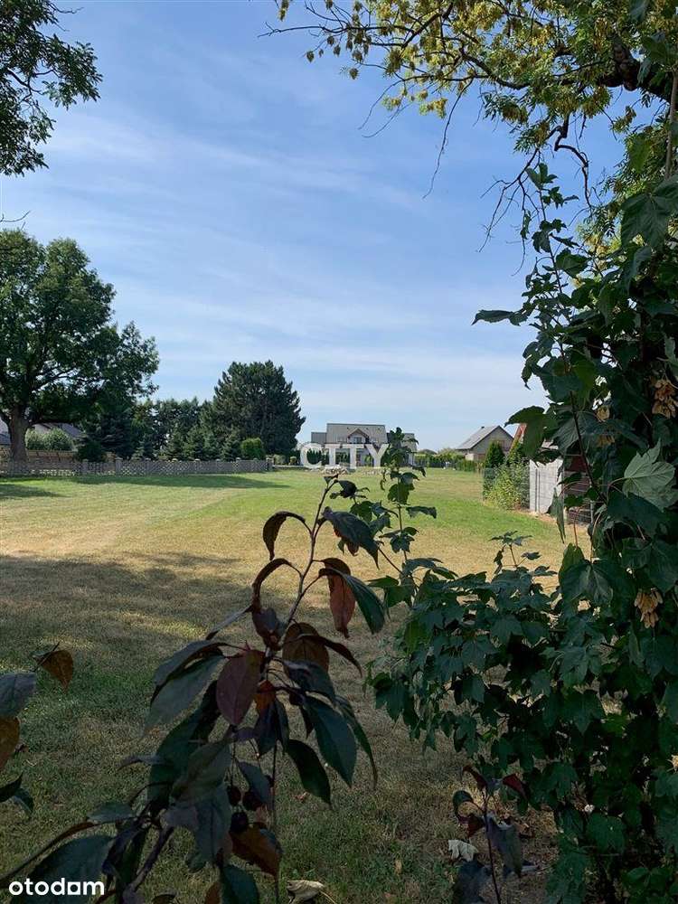 Działka, 1 625 m², Jaszowice - Pełny obrazek: 5/6