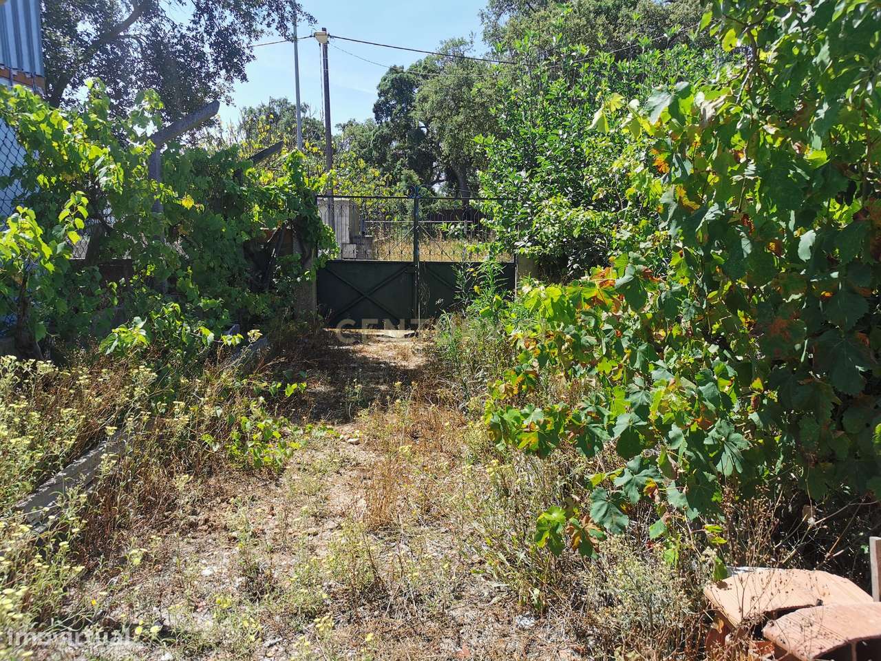 Terreno Urbano 1250m2  urbanos Olhos de Agua -   Palmela Venha constru - Grande imagem: 2/5