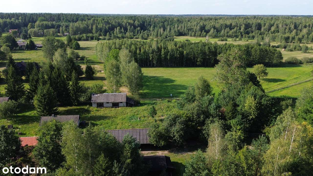 Stare Masiewo - 1840 m2 z budynkiem gospodarczym! PUSZCZA BIAŁOWIESKA! - Pełny obrazek: 5/18