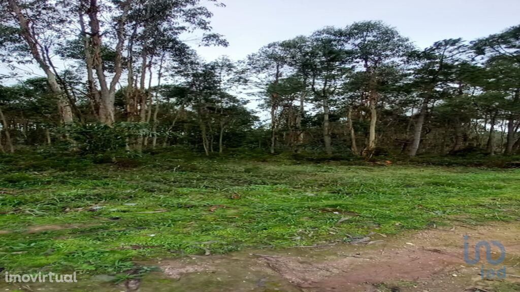 Terreno em Leiria de 10180,00 m2