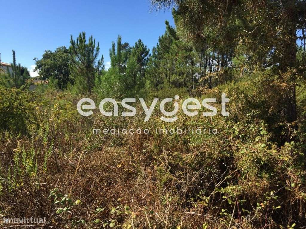 Terreno urbano em Sesimbra com projeto pré aprovado para moradia - Grande imagem: 3/12