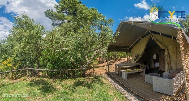 Quinta rodeada por pinhal e vinha, com área de 11 hectares em Nesperal