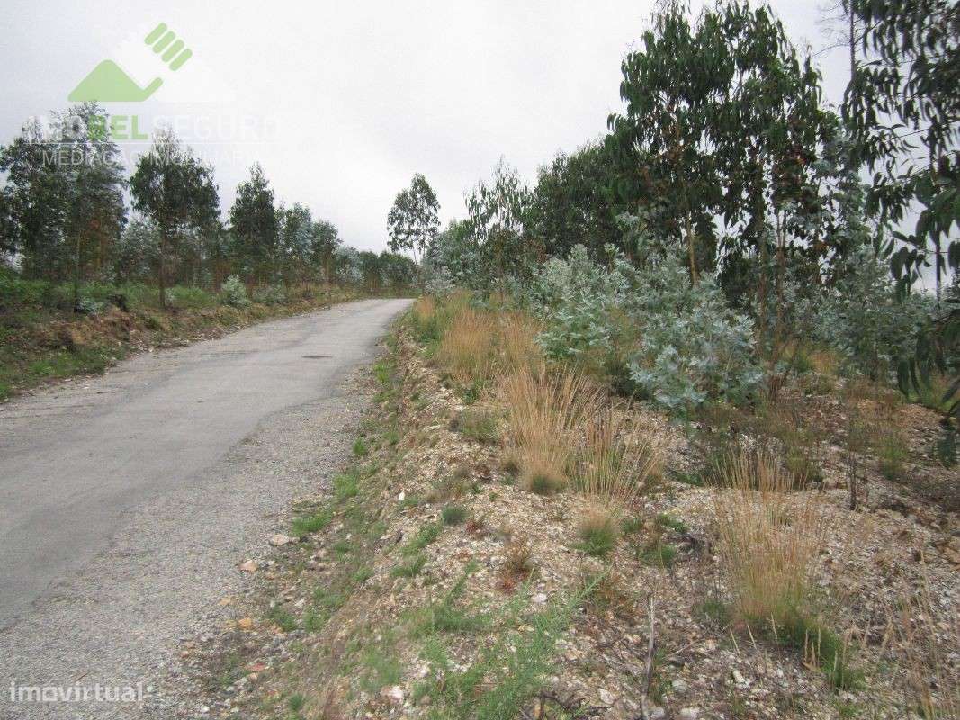 Lotes de Terreno em Canedo (NOVO VALOR) - Grande imagem: 2/11