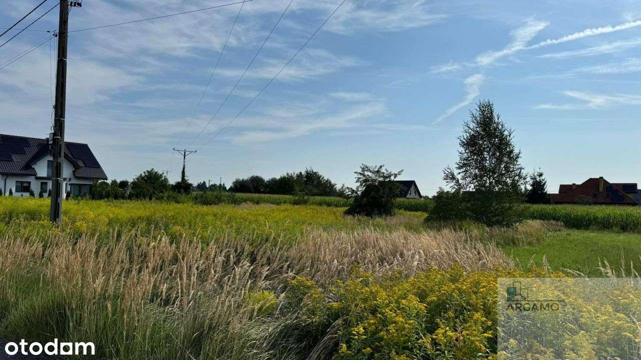 Mysłowice -to miejsce to inwestycja w przyszłość - Pełny obrazek: 5/7