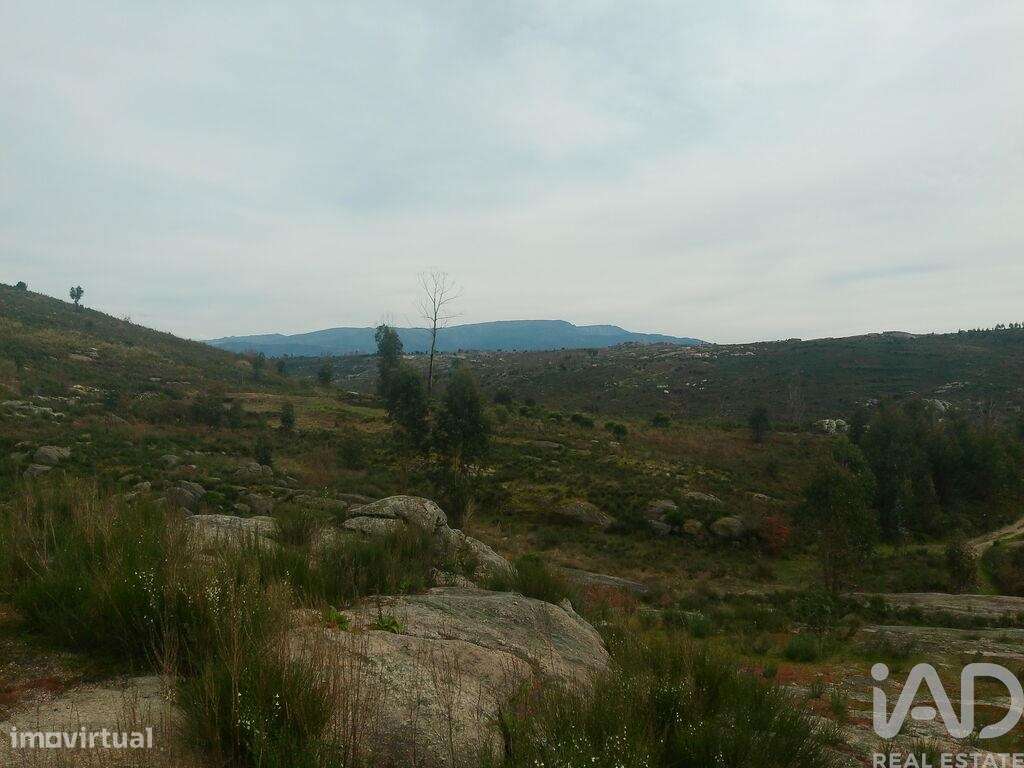 Terreno em Seixo da Beira de 16000,00 m2 - Grande imagem: 2/26