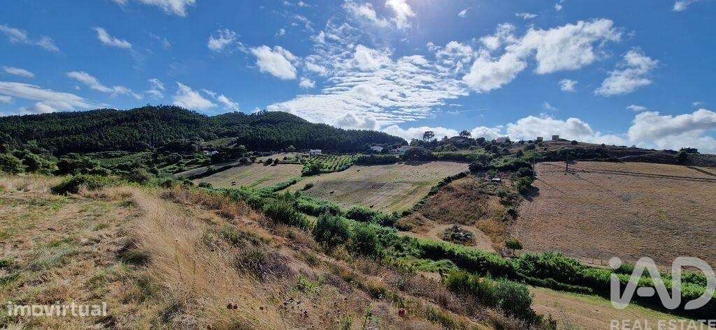 Terreno em Enxara do Bispo, Gradil e Vila Franca do Rosário de 31600,0 - Grande imagem: 4/24