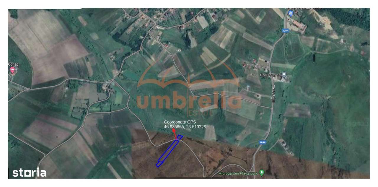 Teren de vanzare intravilan Chinteni 4.200m² - Imagine principală: 4/4