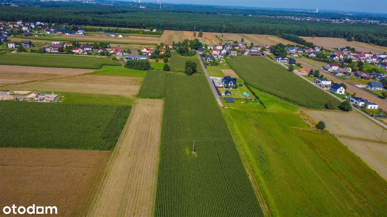 Pięknę Działki, Bojszowy Nowe, 817m2 - 1109m.-6