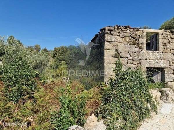 Ruína T2 Cinfães - Grande imagem: 4/8