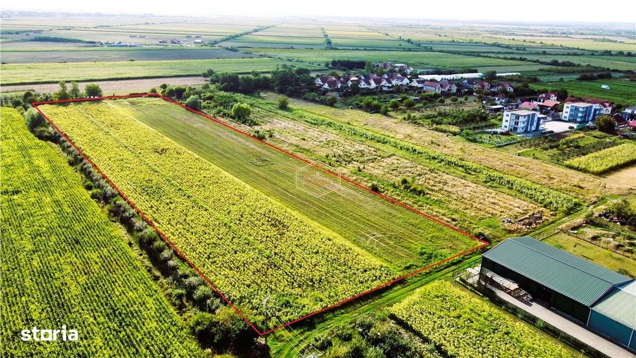 Dezvoltare rezidentiala: Teren pentru parcelare si construire case - Imagine principală: 3/7