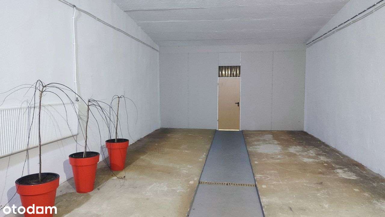 Hala Magazynowa/Produkcyjna dużo pomieszczeń - Pełny obrazek: 3/10