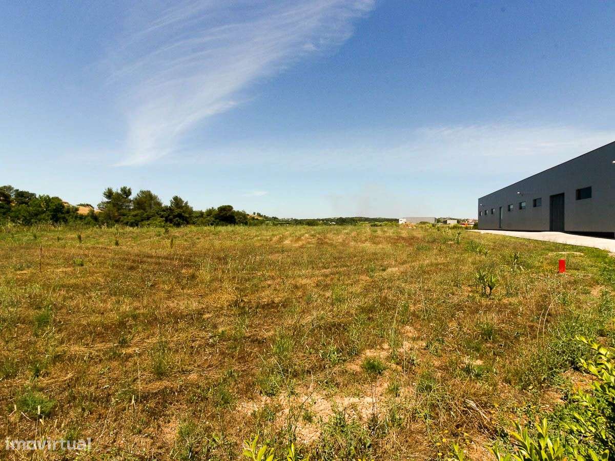 Armazém a 10 Minutos de Santarém - Grande imagem: 4/5