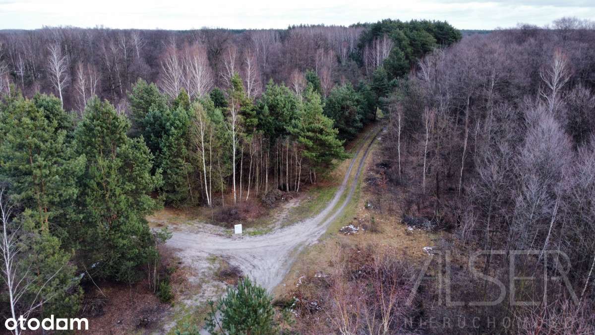 Działki budowlane, w otulinie Parku Krajobrazowego - Pełny obrazek: 5/20