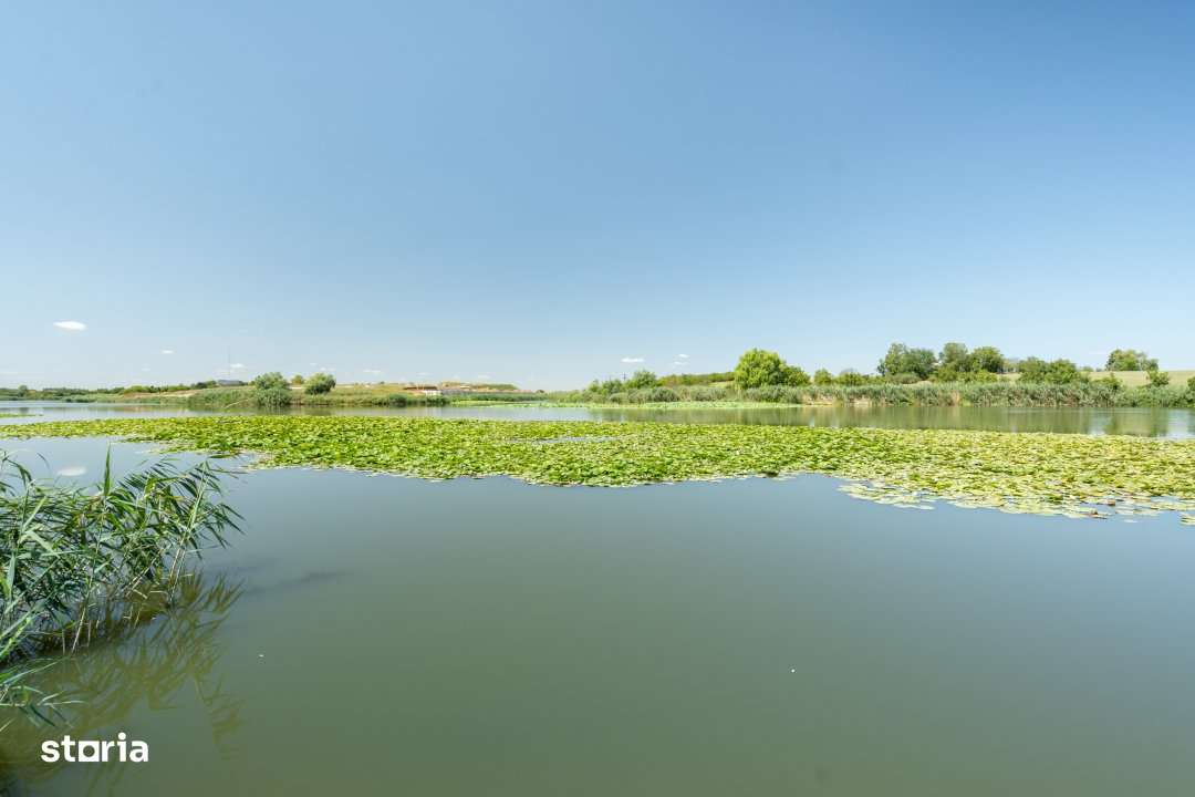 Vila cu piscina pe malul lacului-Snagov -Ciofliceni - Imagine principală: 5/19
