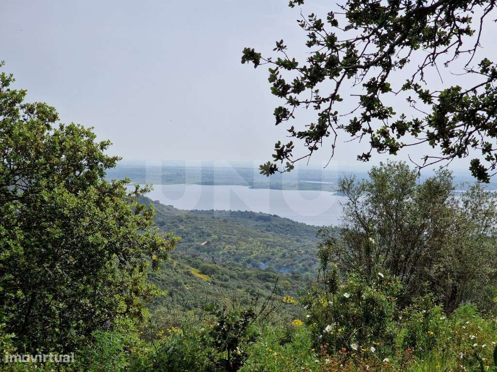 Terreno na Encosta do Castelo de Monsaraz-5