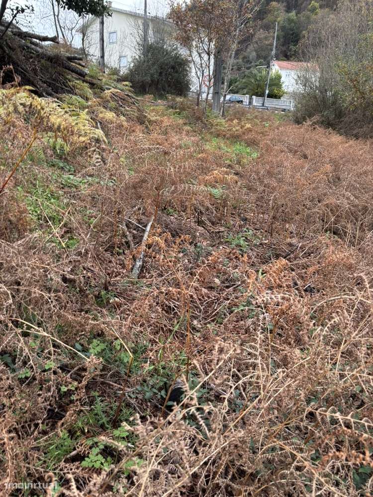 Terreno urbanizável - Grande imagem: 2/3