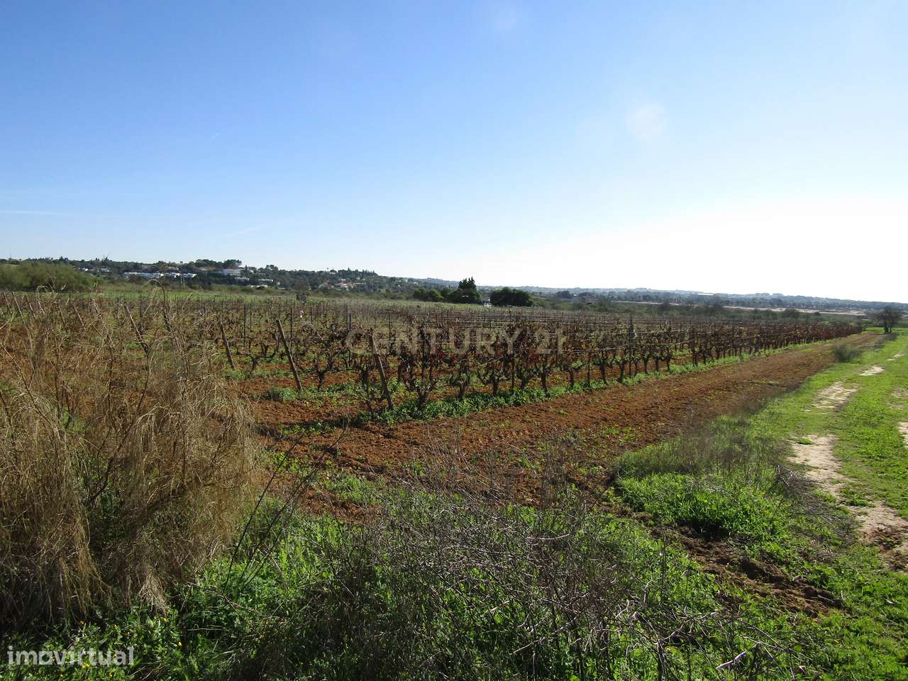 Terreno Rústico - Grande imagem: 5/8