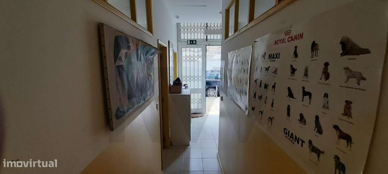 Aluguer Loja | Veterinário | C/ Garagem - Grande imagem: 5/9