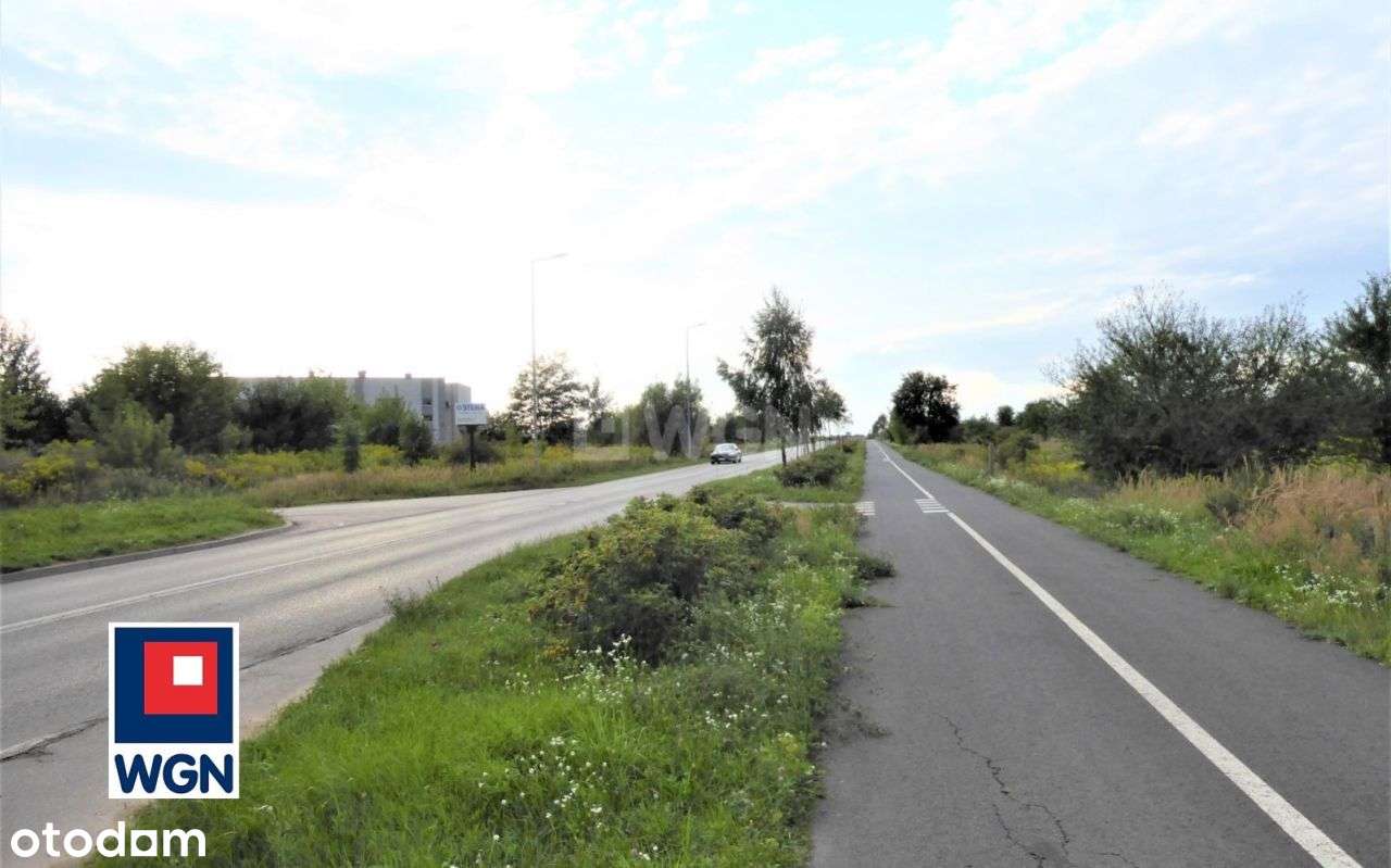 Specjalna Strefa Ekonomiczna! - Pełny obrazek: 5/9