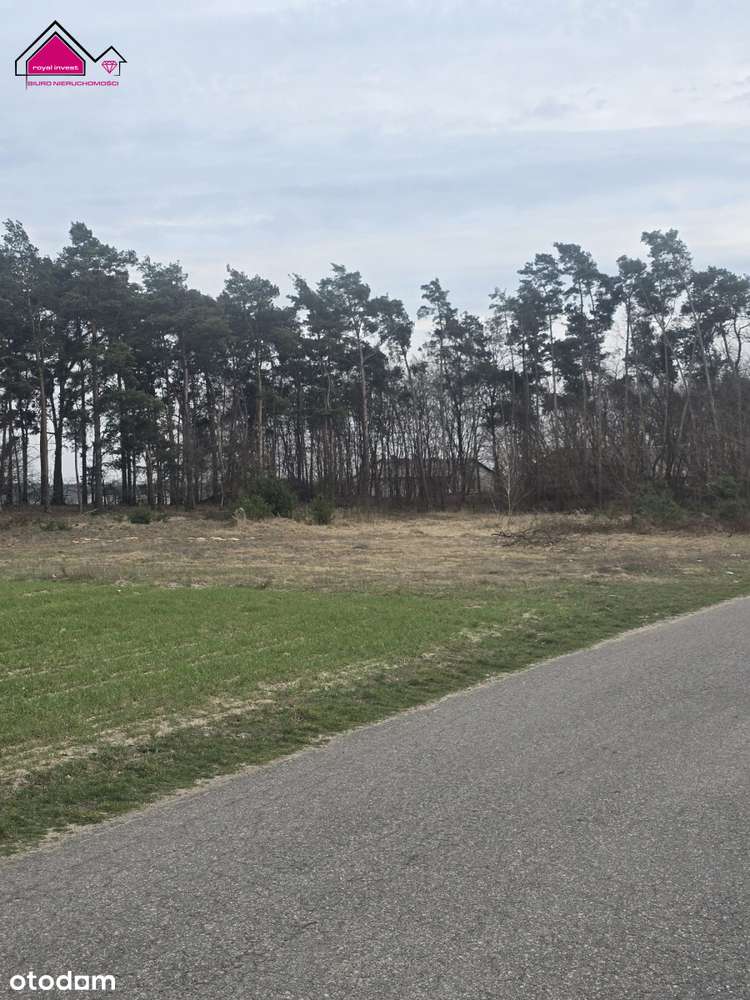 Działka z własnym lasem blisko centrum Konina-3