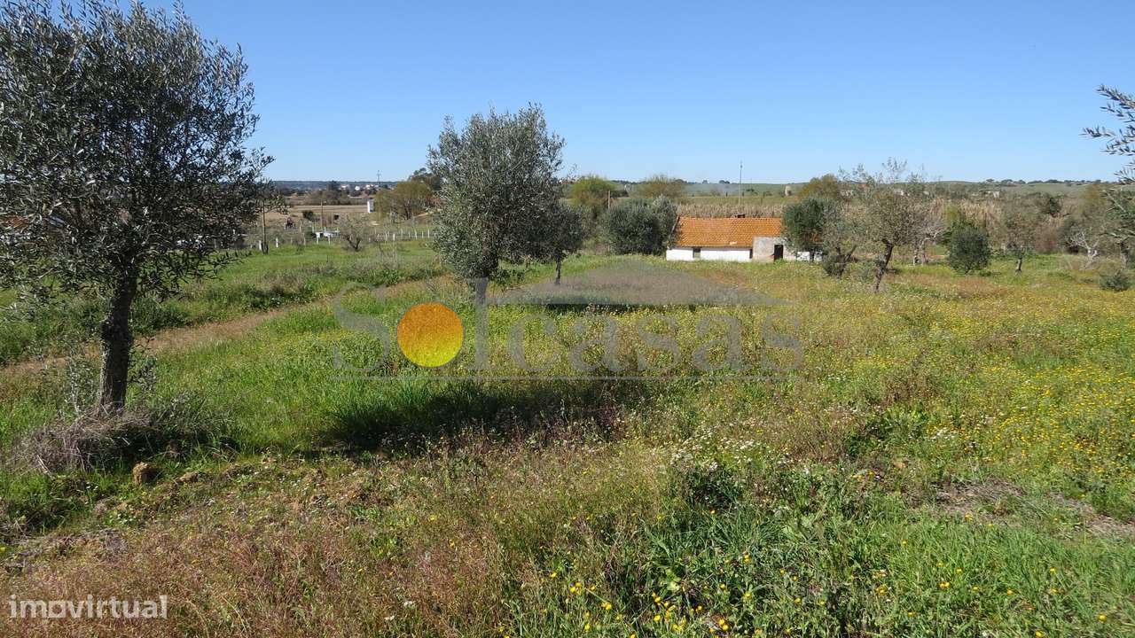 Quinta com duas habitações em Sta. Catarina - Alcácer do Sal-4