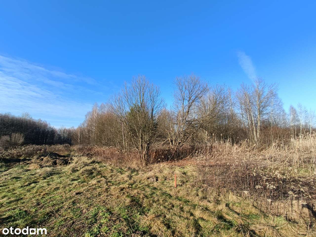 Działka w zielonym zakątku o powierzchni 45ar, Jasionka! - Pełny obrazek: 4/5