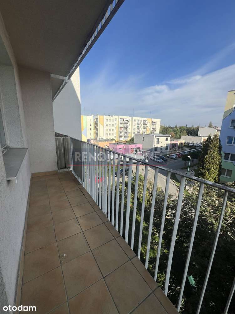 Duże, jasne mieszkanie na Różanym - Pełny obrazek: 4/12